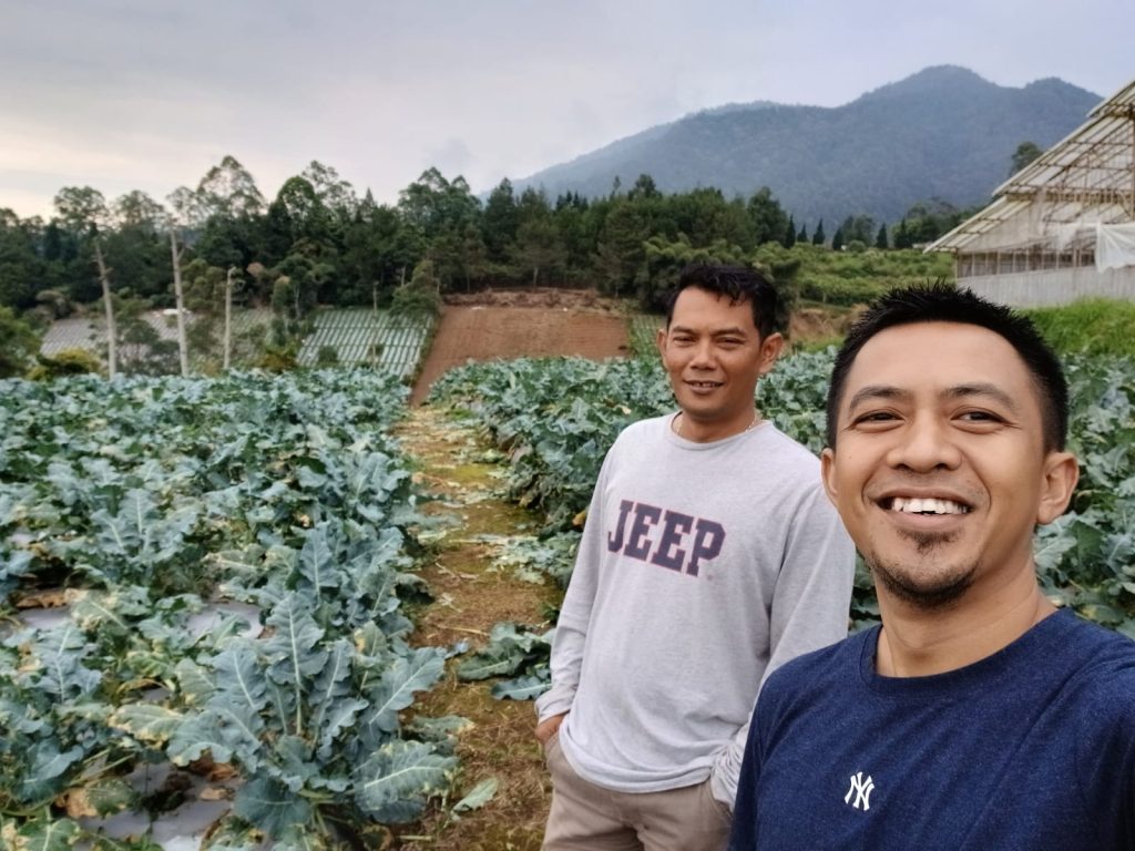Kebun sayuran