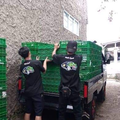 Memuat Hasil Panen ke Kendaraan